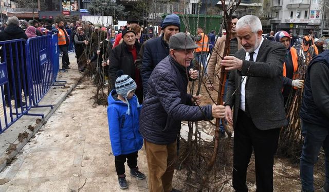 Isparta Belediyesi ücretsiz meyve fidanı dağıtacak