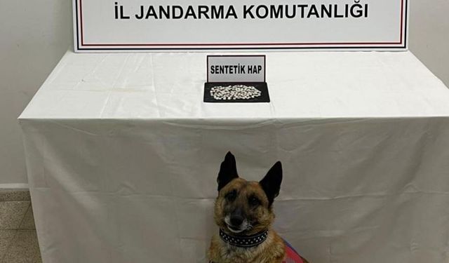 Kars'ta “Tabla” narkotik köpeği yine geçit vermedi