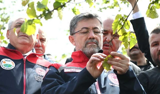Tarım Bakanı Yumaklı: Zirai don sebebiyle stratejik ürünlerde sıkıntı yok