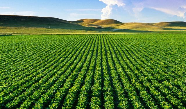 Tarım-GFE şubatta yüzde 28,92 artış gösterdi