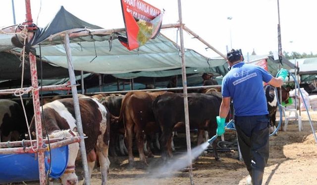 Antalya Büyükşehir kurban satış noktalarını ilaçlıyor