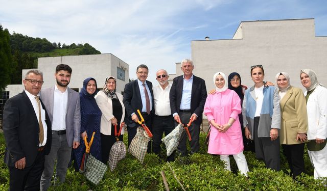 Başkan Genç: Ortahisar'da yeni bir çay fabrikası kuracağız