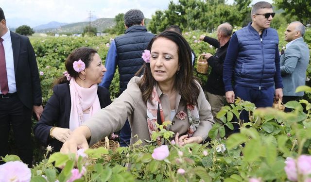 Burdur’da gül kokulu sabah: DoğaFest Lisinia’da gül hasadıyla renklendi