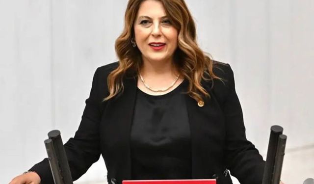 Elvan Işık Gezmiş: Vahşi madencilik köylerimizi etkiliyor
