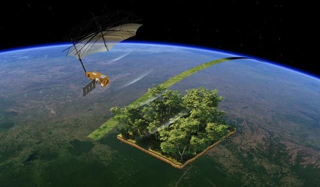 ESA'dan uzayda “Orman MR’ı”: Biomass uydusu karbon takibi için görevde
