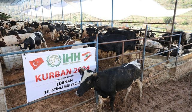 İHH Kurban Bayramı’nda 60 ülkeye ulaşmayı hedefliyor