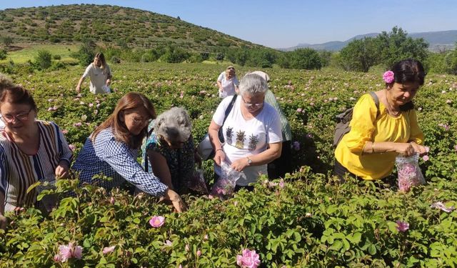 Isparta’ya gül turizminde bu yıl rekor ziyaretçi bekleniyor