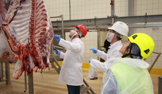 Kocaeli'de kurban kesim başvuruları 15 Mayıs’ta başlıyor