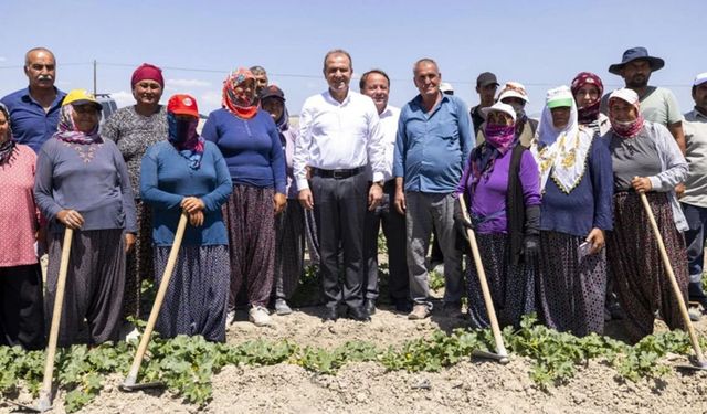 Mersin'de çiftçinin yüzünü güldüren hamle