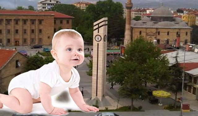 Nüfusta alarm zilleri çalıyor, Isparta doğumdan kaçıyor