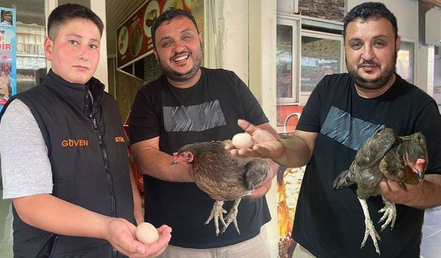 Tavuktan dönerciye sürpriz ziyaret: İçeri girip yumurtladı!