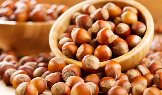 Tescilli Giresun tombul fındığında modern dikim teknikleri verimi artırdı