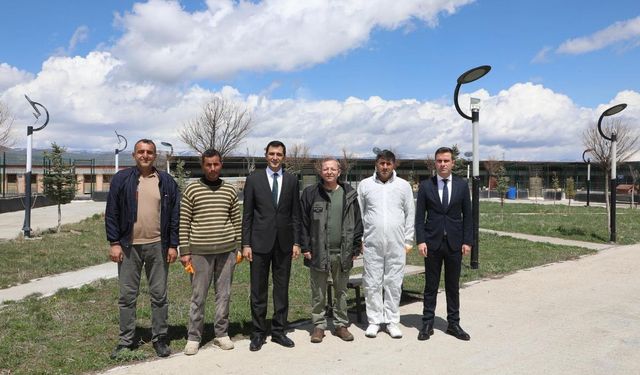 Vali Ziya Polat, Hayvan Bakımevinde incelemelerde bulundu