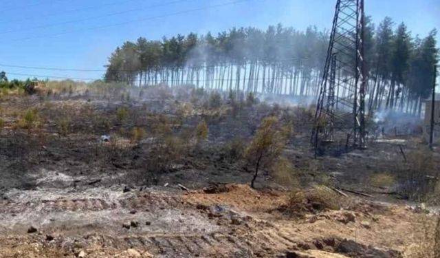 Antalya Aksu’da orman yangını kısa sürede söndürüldü