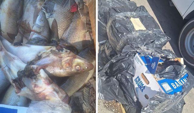 Antalya Otogarı’nda su ürünlerine denetim: 100 kg ürüne el konuldu