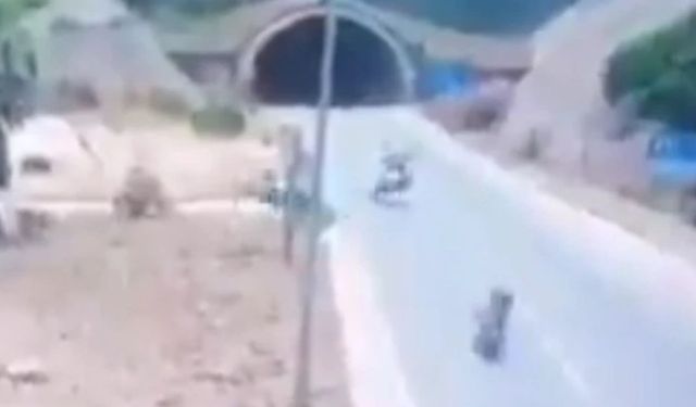 Antalya'da trajik kaza! Bakan Yerlikaya yine uyardı