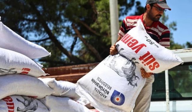Antalya'da yem desteğiyle süt üretimine güçlü katkı