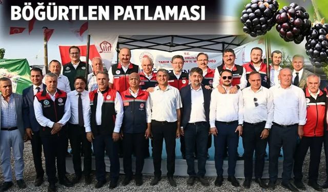 Batman böğürtlen diyarı oldu