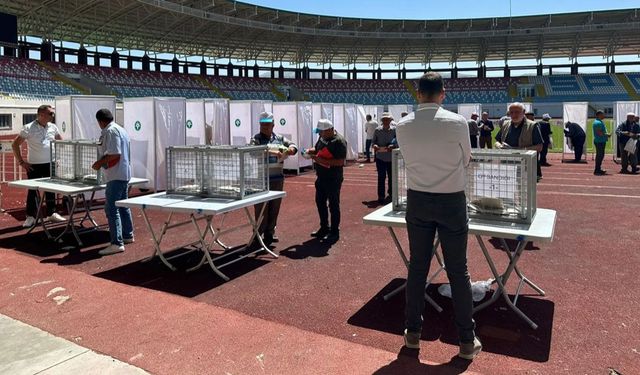 Burdur MAKÜ Stadyumu'nda renkli yarış!