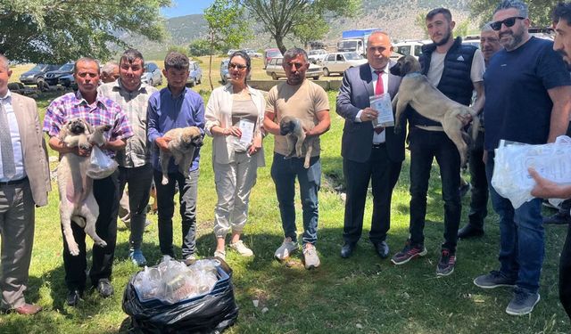 Isparta’da kurt sorununa çoban köpeği çözümü