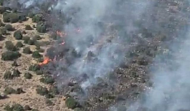 İzmir Kemalpaşa'da orman yangını: Müdahale sürüyor