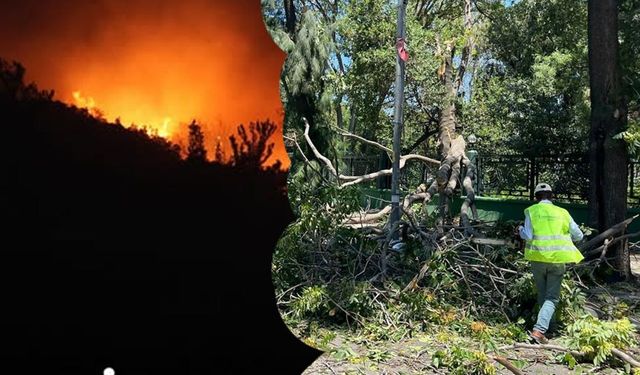 İzmir'de yangın ve fırtınayla mücadele!