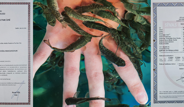 Kangal Balıklı Kaplıca işletmecisi Ünsallar A.Ş.'den basın açıklaması