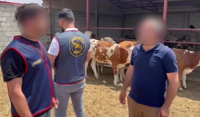 Kars’ta jandarmadan hayvan hırsızlarına operasyon: 5 gözaltı, 9 hayvan sahibine teslim edildi