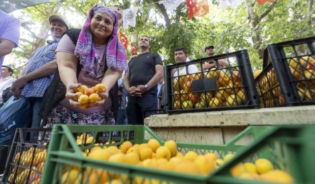 Kayısı Festivali'nde büyük coşku