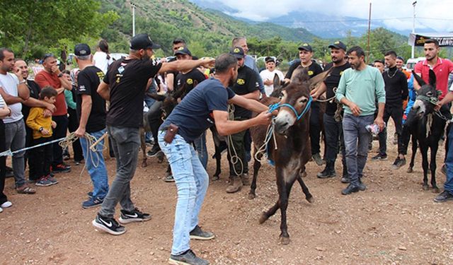 Kumluca Karacaören Şenliği:  Motokros heyecanı ve eşek yarışları renk kattı