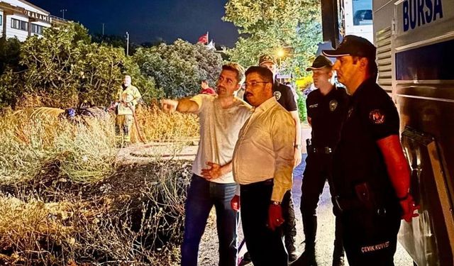 Mudanya Yolu’ndaki yangın kontrol altına alındı! 4 dönüm alan zarar gördü