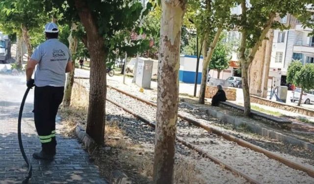 Parklar köşe bucak temizleniyor