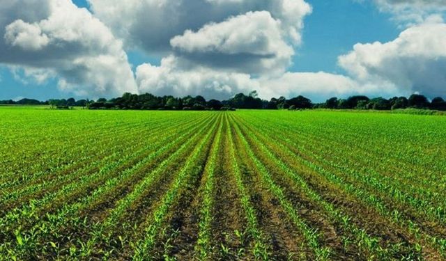 Tarım ve Kırsal Kalkınma hibeleriyle 70,3 milyon euroluk yatırım gerçekleştirildi