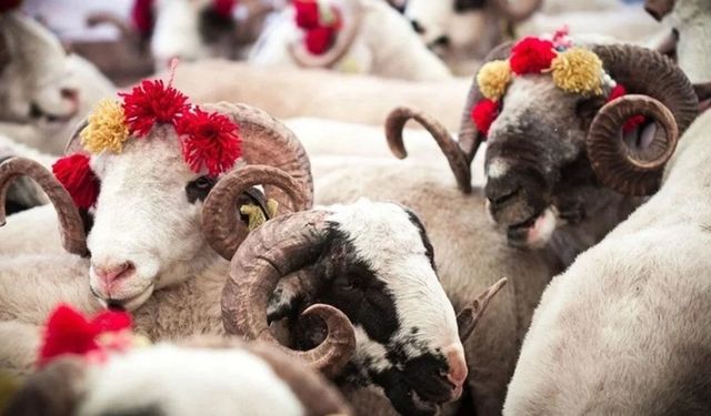 Türkiye Kurban Bayramı’na hazırlanıyor: Bayram telaşı başladı