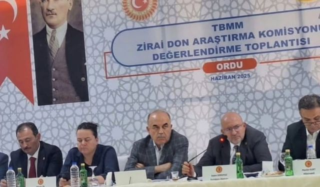 Zirai Don Hasar Tespit Komisyonu Fındık 'ta Kayıp Büyük
