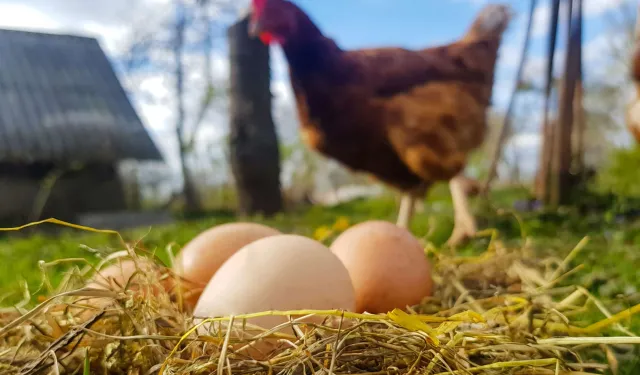 Destekleme ve Fiyat İstikrar Fonu'nda değişiklik... O fon kesintisi kaldırıldı!