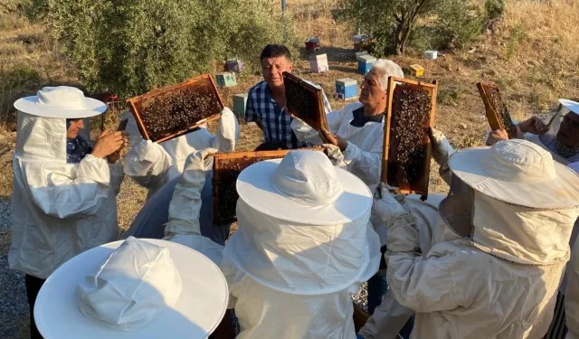 Manisa'da arıcılara uygulamalı eğitim desteği