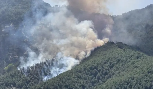Balıkesir’deki orman yangını kontrol altına alındı