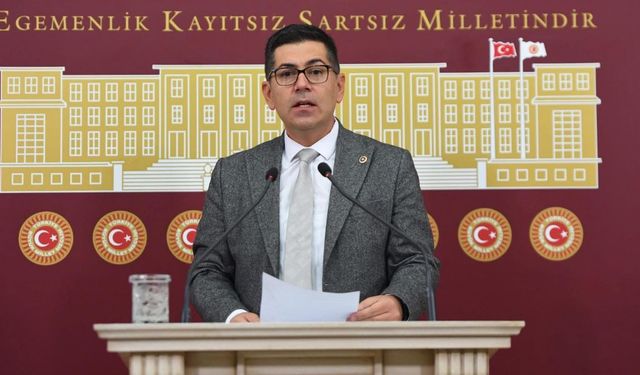CHP Isparta Milletvekili Halıcı: Isparta ormanlarında alarm, uçak var mı, ekip hazır mı?