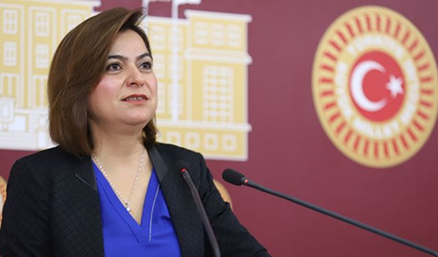 DEM Parti Grup Başkanvekili ve Kars Milletvekili Gülüstan Kılıç Koçyiğit, TBMM Başkanlığına bir soru önergesi sundu
