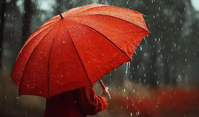 Doğu Karadeniz’de kuvvetli yağış uyarısı