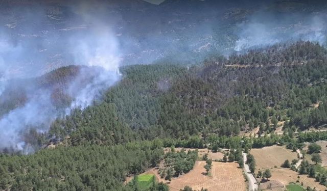 Isparta’da korkutan yangın kısa sürede kontrol altına alındı