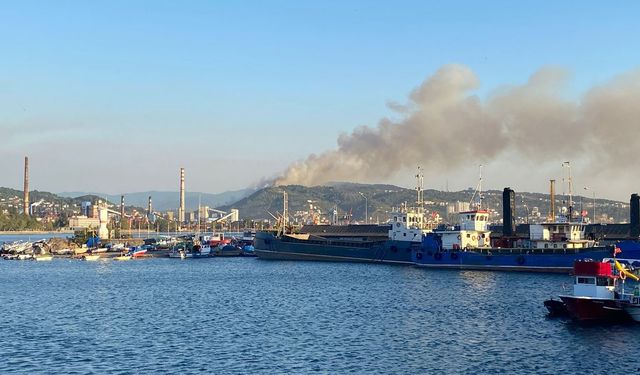 Karadeniz Ereğli'de orman yangını