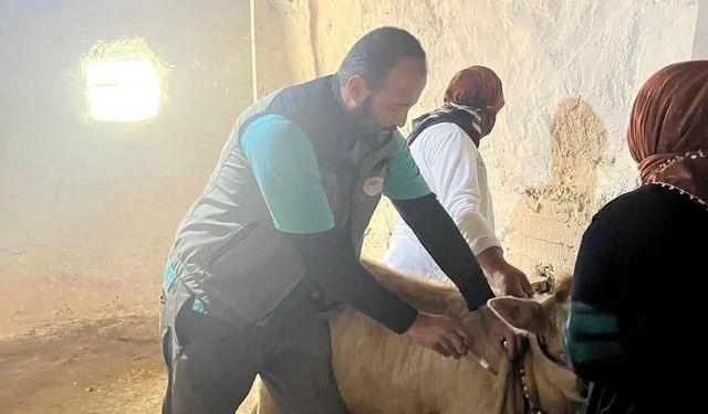 Kars Tarım ve Orman İl Müdürlüğü’nden hayvan sağlığında kararlı mücadele