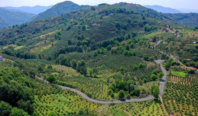 Ordu'dan Samsun'a bağlantı sağlayan yolda son düzlük