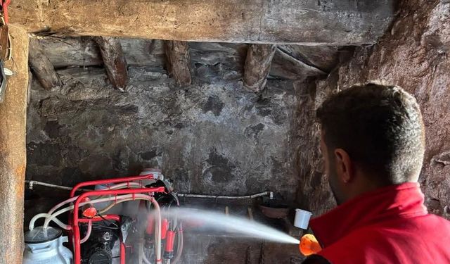 Susuz'da şap hastalığına karşı aşılama ve dezenfekte çalışmaları devam ediyor