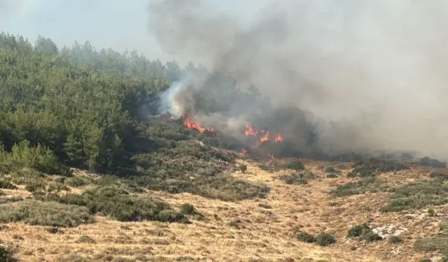 Tekirdağ’dan Çanakkale’ye sıçrayan orman yangınıyla mücadele