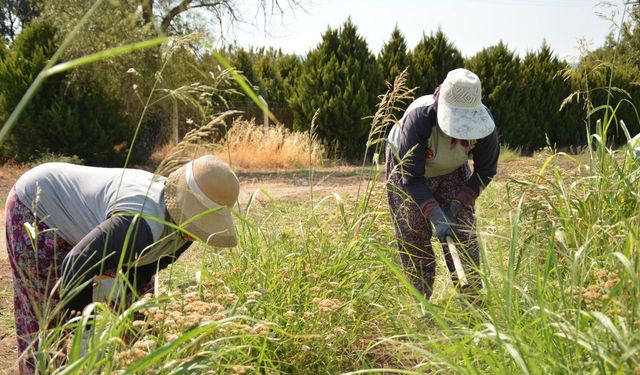 Uygulamalı eğitim programları BAÇEM’in kalitesini artırıyor