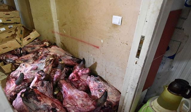 Antalya'da mide kaldırmaz görüntüler! Bir marketin deposunda çürük et skandalı