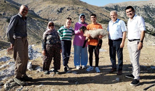 Atabey’de koyun projesi başarıyla tamamlandı!